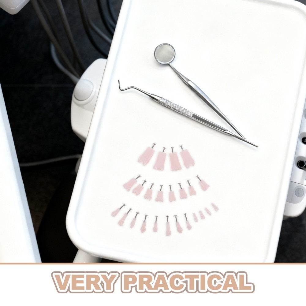24 Pcs Dental Practice Teeth Typodont Teaching Model Removable Tooth Set