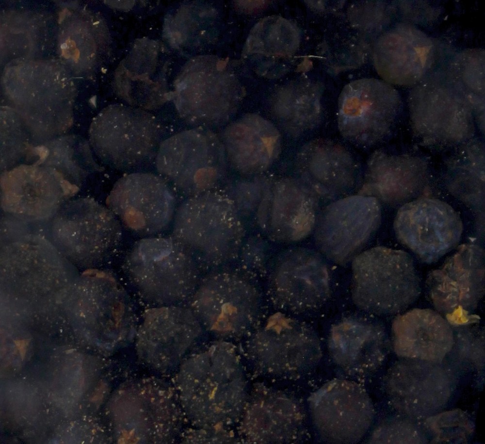 Brewer's Best Brewing Herbs and Spices - Juniper Berries, 1oz.