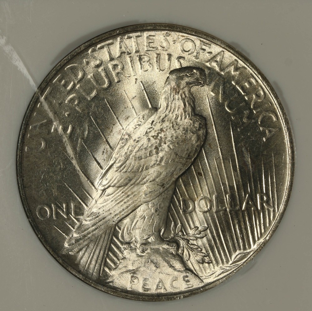 1923 NGC MS-65 Peace Silver Dollar