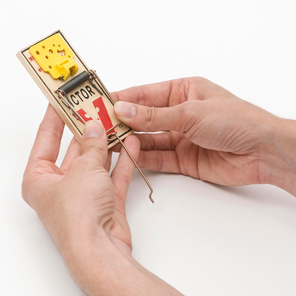 Easy Set Mouse Trap - 2Pk