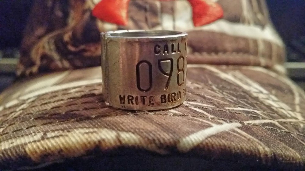 goose band goose bands