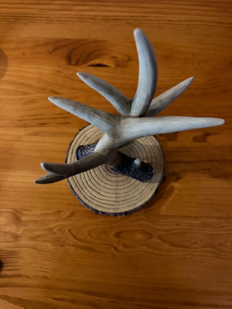 Deer antler coffee mug holder