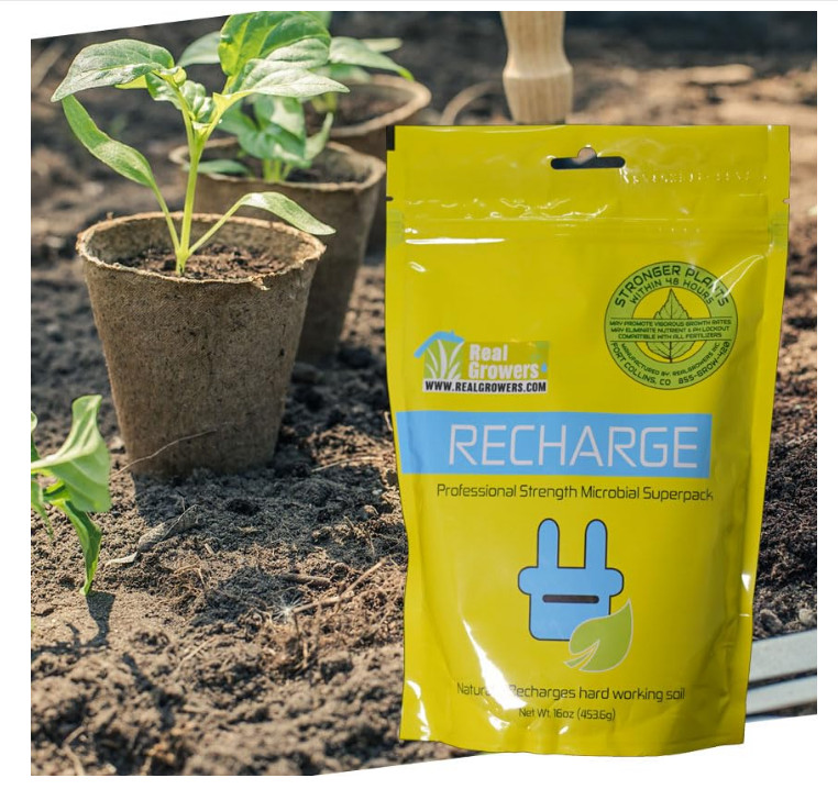 Real Growers Recharge 16oz