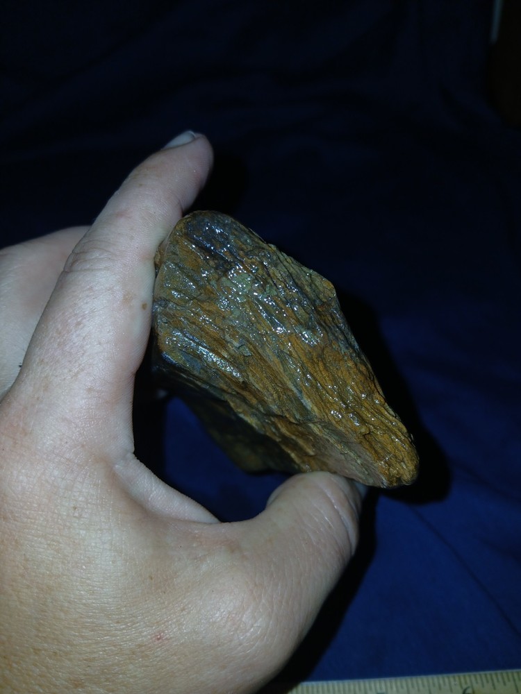 12 oz Petrified Wood