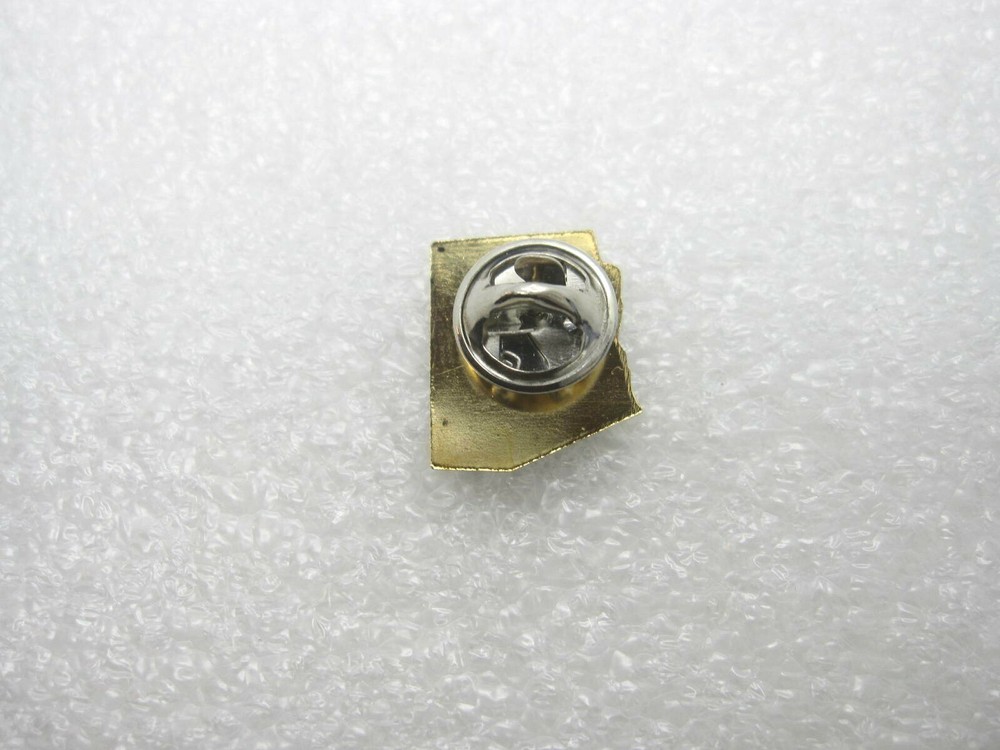 Arizona DARE Lapel Pin (A376)