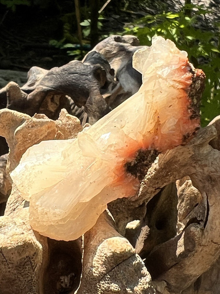 Orange Heulandite Cluster Bed Bright Colouring AAA+ Stillbite 22