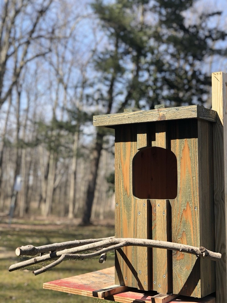 Cedar Barred Owl Nest Box Unfinished