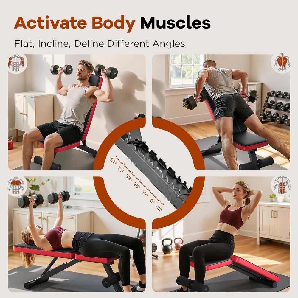 Basic Weight Bench for Home Gym,8 Backrests Adjustable Bench with 660LBS