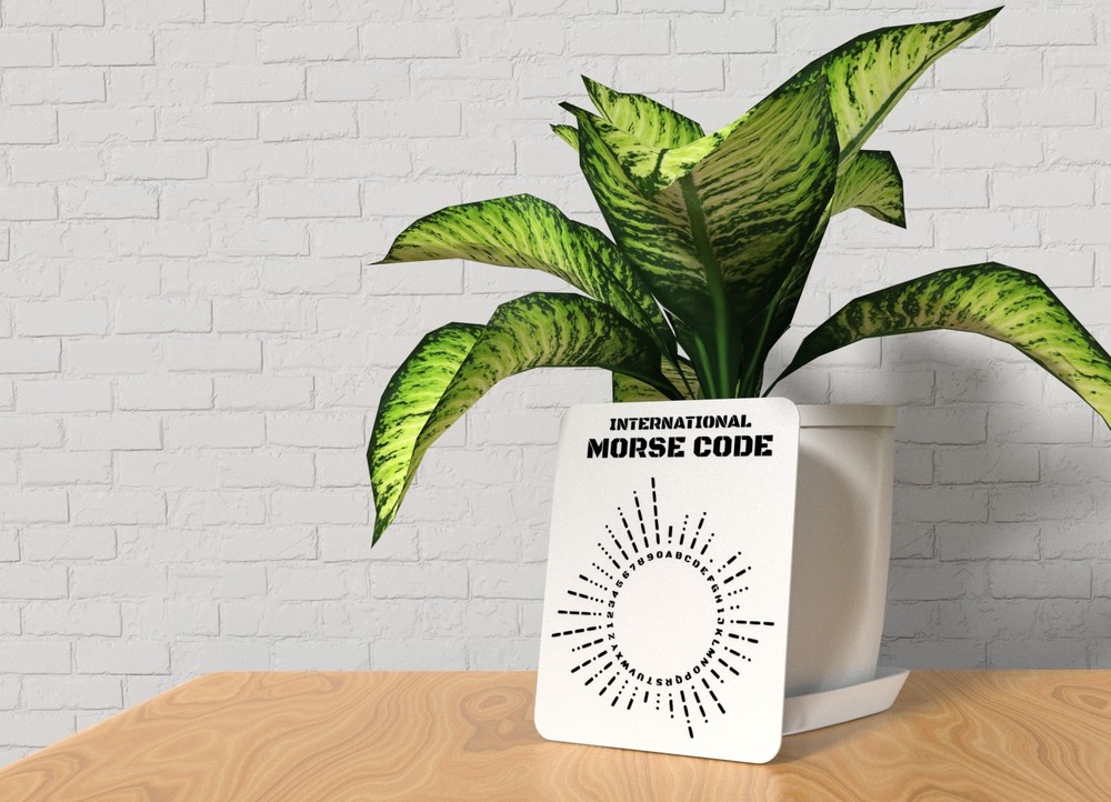 International Morse Code | Funny Sign for Home or Office