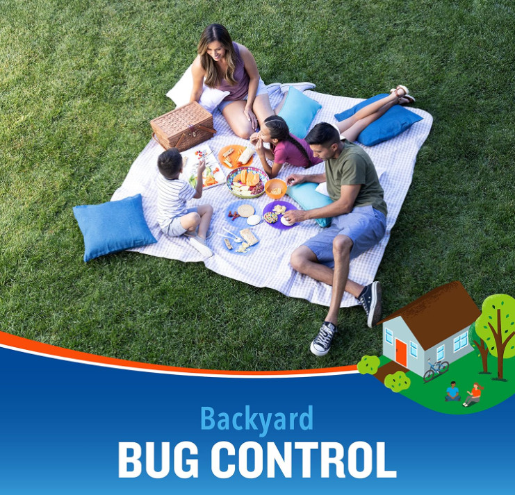 Cutter Backyard Bug Control Spray Concentrate, Fleas,Mosquito Repellent,32 fl oz