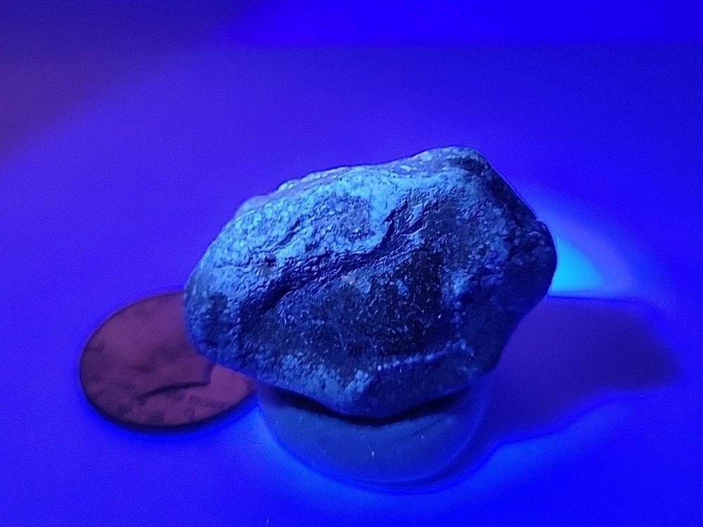 Real Permineralized Reptile Egg Fossil