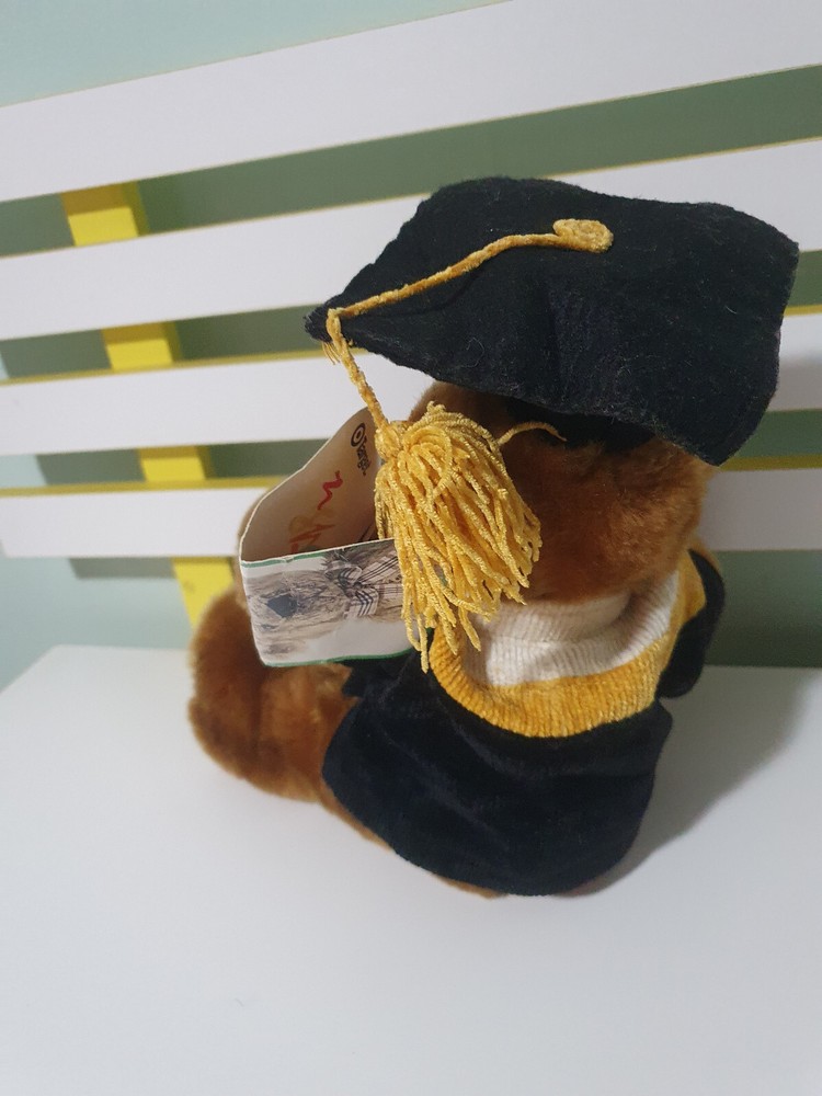 TARGET GRADUATION BEAR VINTAGE CAP SCROLL JACKET TASSLES 26CM