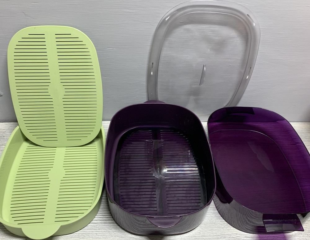 Tupperware Oval MicroCooker Microwave Steamer Set w/ Lid, Inserts, Manual