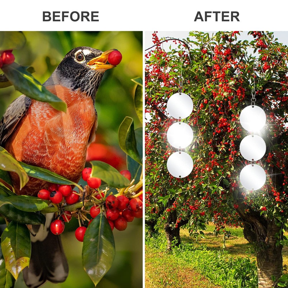 30 Pack Bird Scare Discs Set- Highly Reflective Double-Sided Bird Reflectors