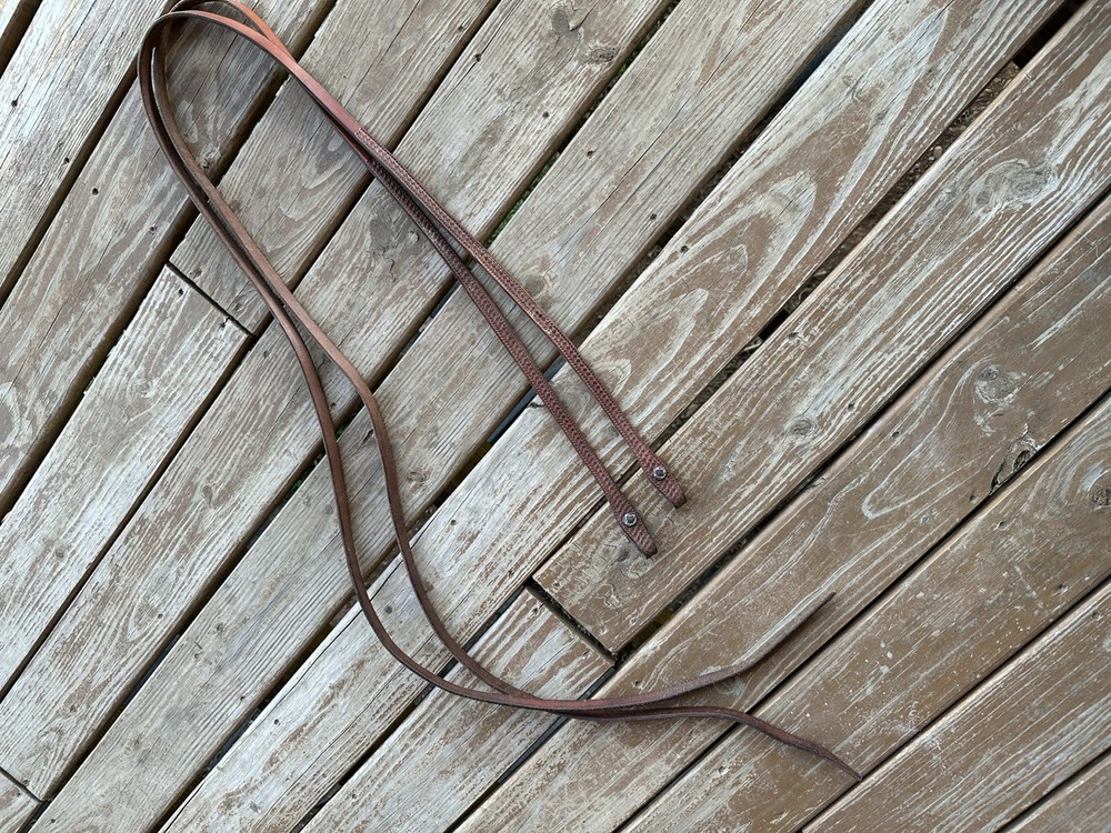 Cactus Horse Reins