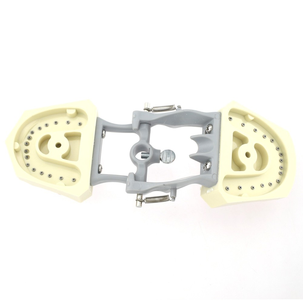 Dental Typodont Teeth Model Columbia 860 Dentoform Removeable UR UL LL LR Teeth