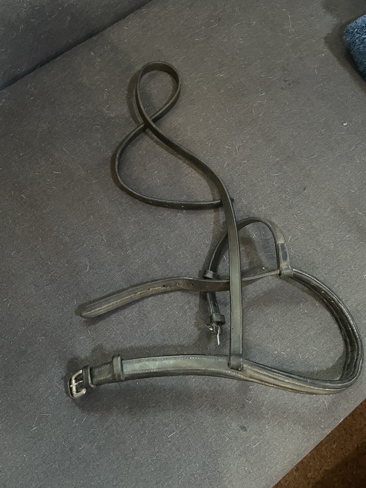 Nose Band