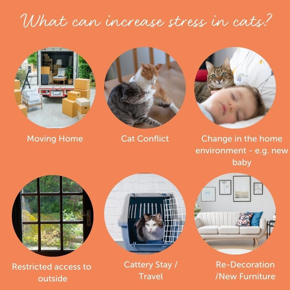 Cystease Advanced Urinary Tract Support for Cats Pot Size: 30 Tablets
