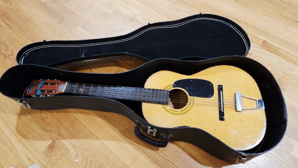 NORMA FG 6 Acoustic Guitar with Case