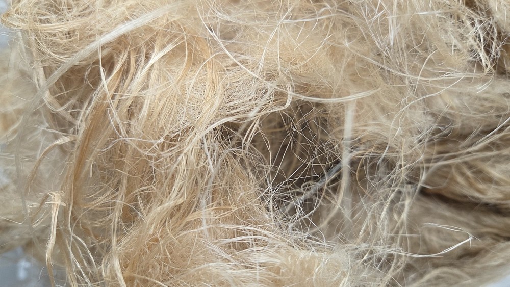 Roselle Stalk Fiber. Un-Combed. Raw Unfinished Bundle.