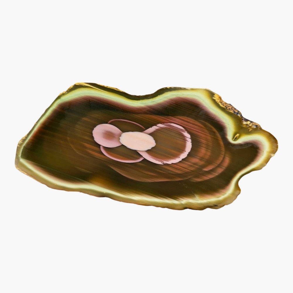 Royal Imperial Jasper Slab – Large Orbicular Patterns from Mexico for Lapidary