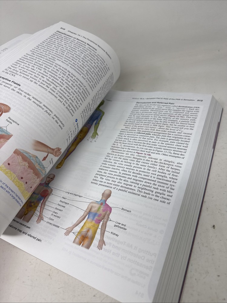 Human Anatomy & Physiology - Bound LooseLeaf- Third Ed. Pearson