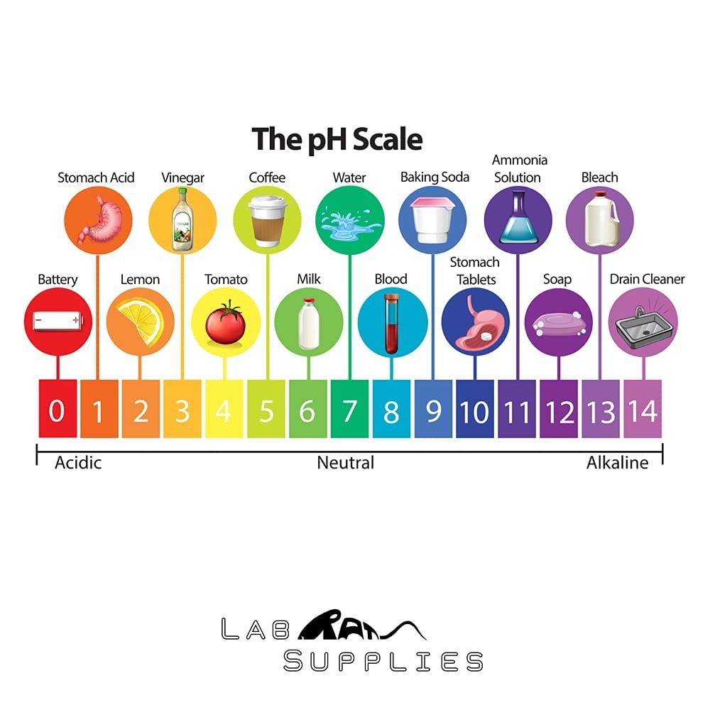 Plastic pH Strips, Universal Application pH 0-14, 100 Strips | for Saliva, S...