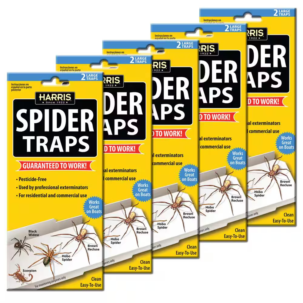 Spider Trap Value Pack