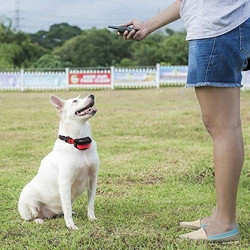 PT0Z1 Waterproof Dog Training Shock Collar - Remote with 1200ft Range