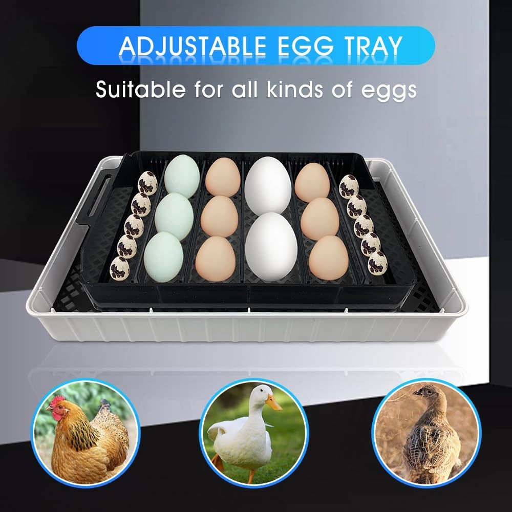 12-24 Automatic Egg Incubators for Hatching Eggs Whith Smart Temperature Control