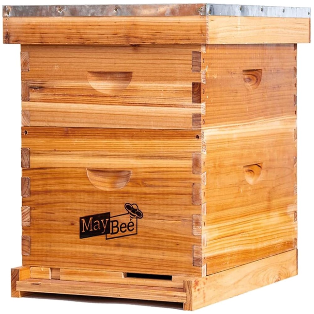 Beginner Beekeeping Kit with Cedarwood Beehive