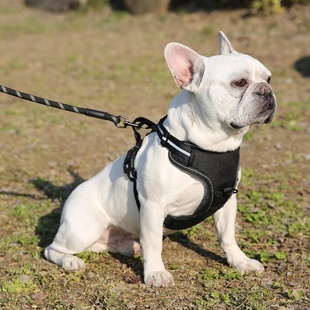 Prime Trail Supply No-Pull Dog Walking Harness – Adjustable, Reflective S-XL