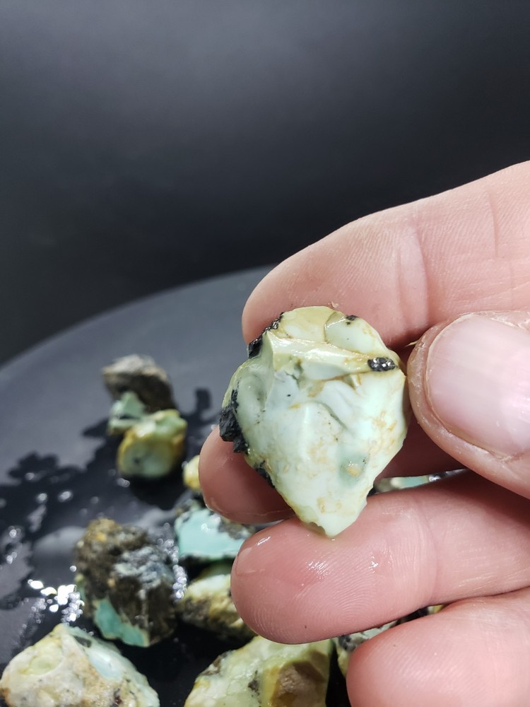 Nevada Gecko Variscite Rough 1/4 Lb