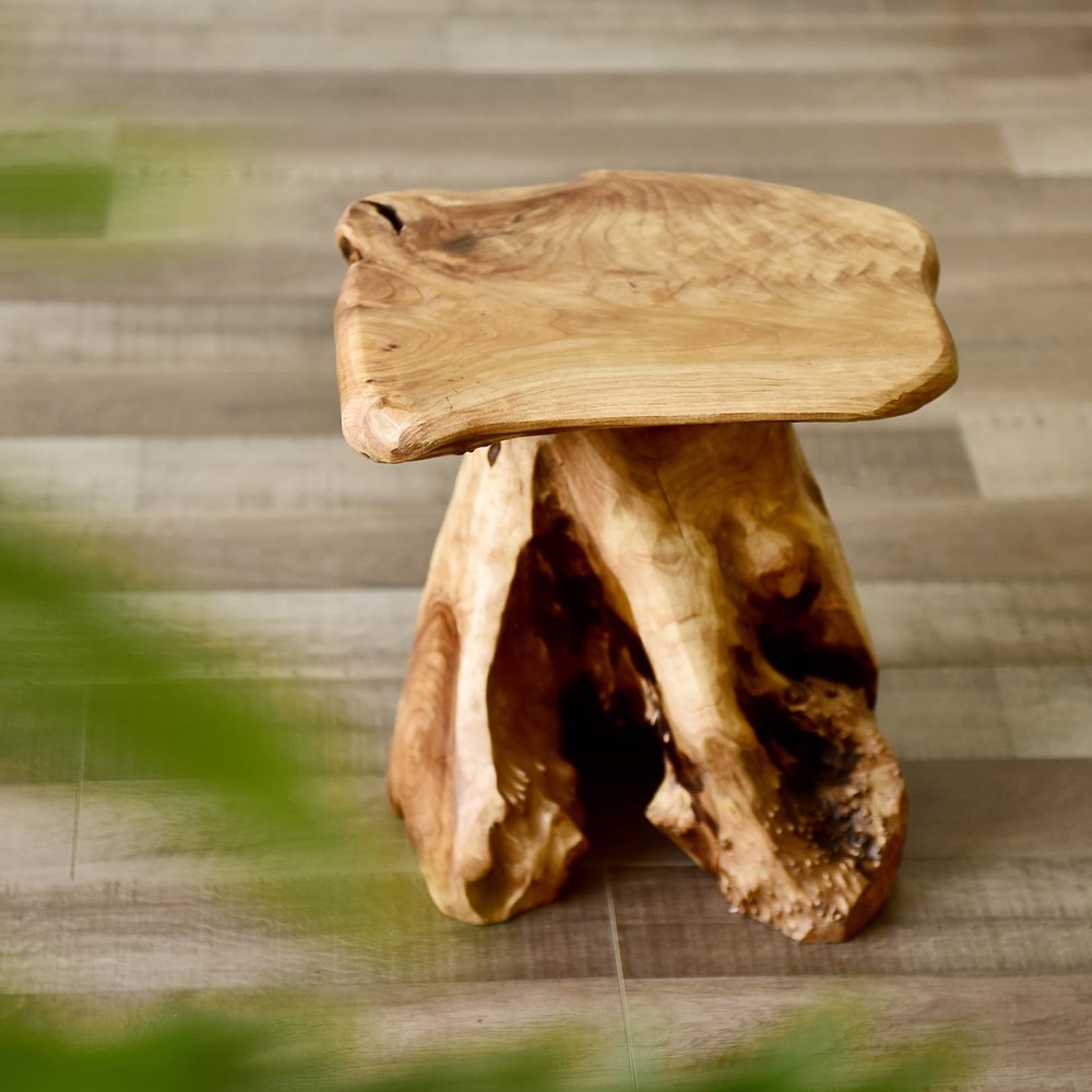 WELLAND Natural Cedar Stump Stool, 14" End Table, Live Edge Side Table, Plant...