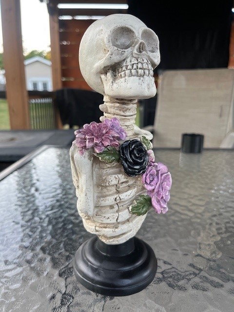 9 inch Skeleton Skull Figurine Statue