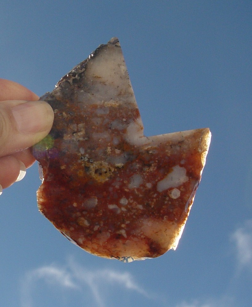 Red white and black  Agate   Lapidary Slab                   1050