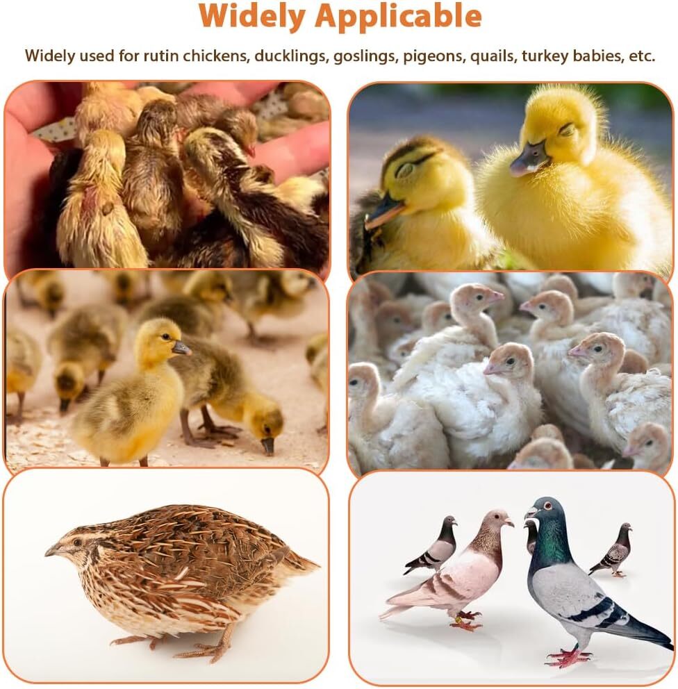 Chick Brooder Heating Plate Temperature Heater Adjustable Chicks Brooder Heater