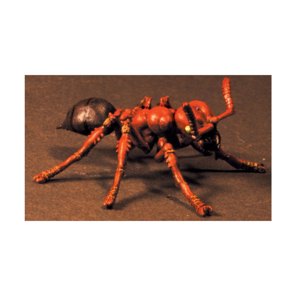 SJG Mini Giant Ants SW (New)