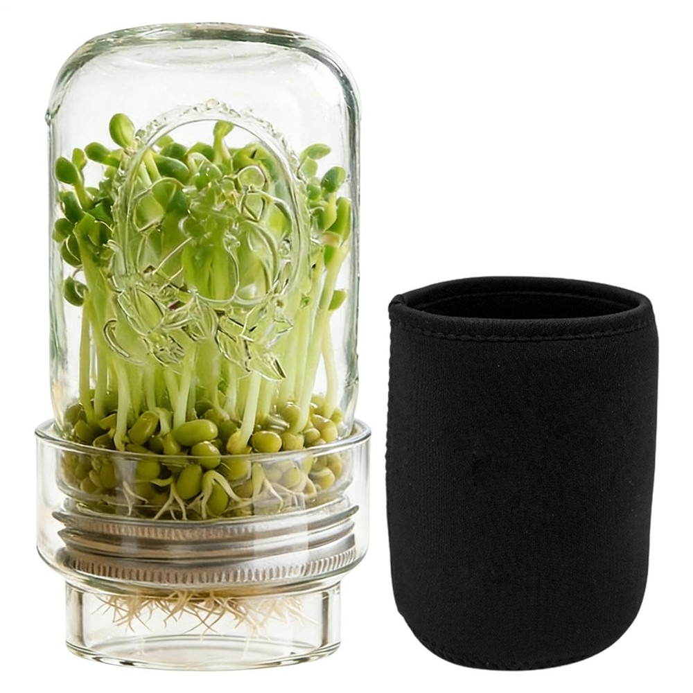 Sprouting Jar Kit Mung Bean Sprouts Growing Broccoli Sprouts Growing