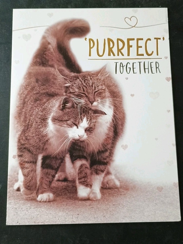 Funny Anniversary Card