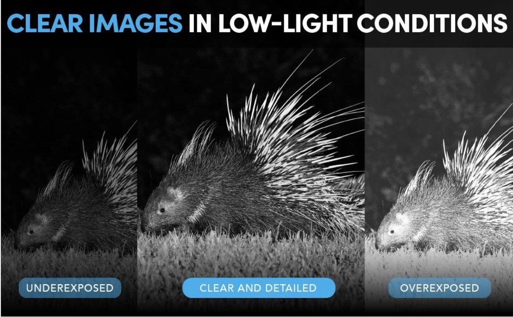 Night Vision Binoculars / Goggles