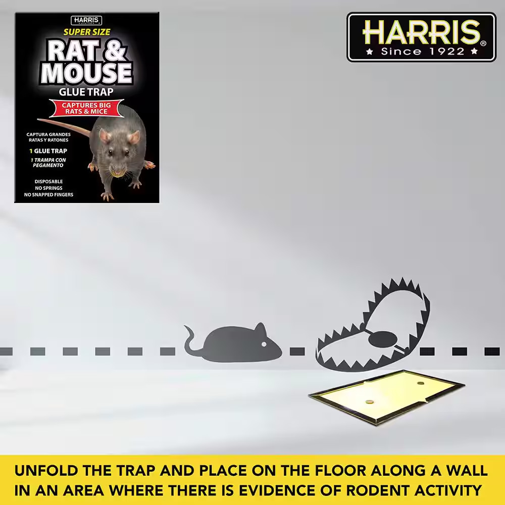 Rat and Mouse Glue Trap Super-Size (5-Pack)