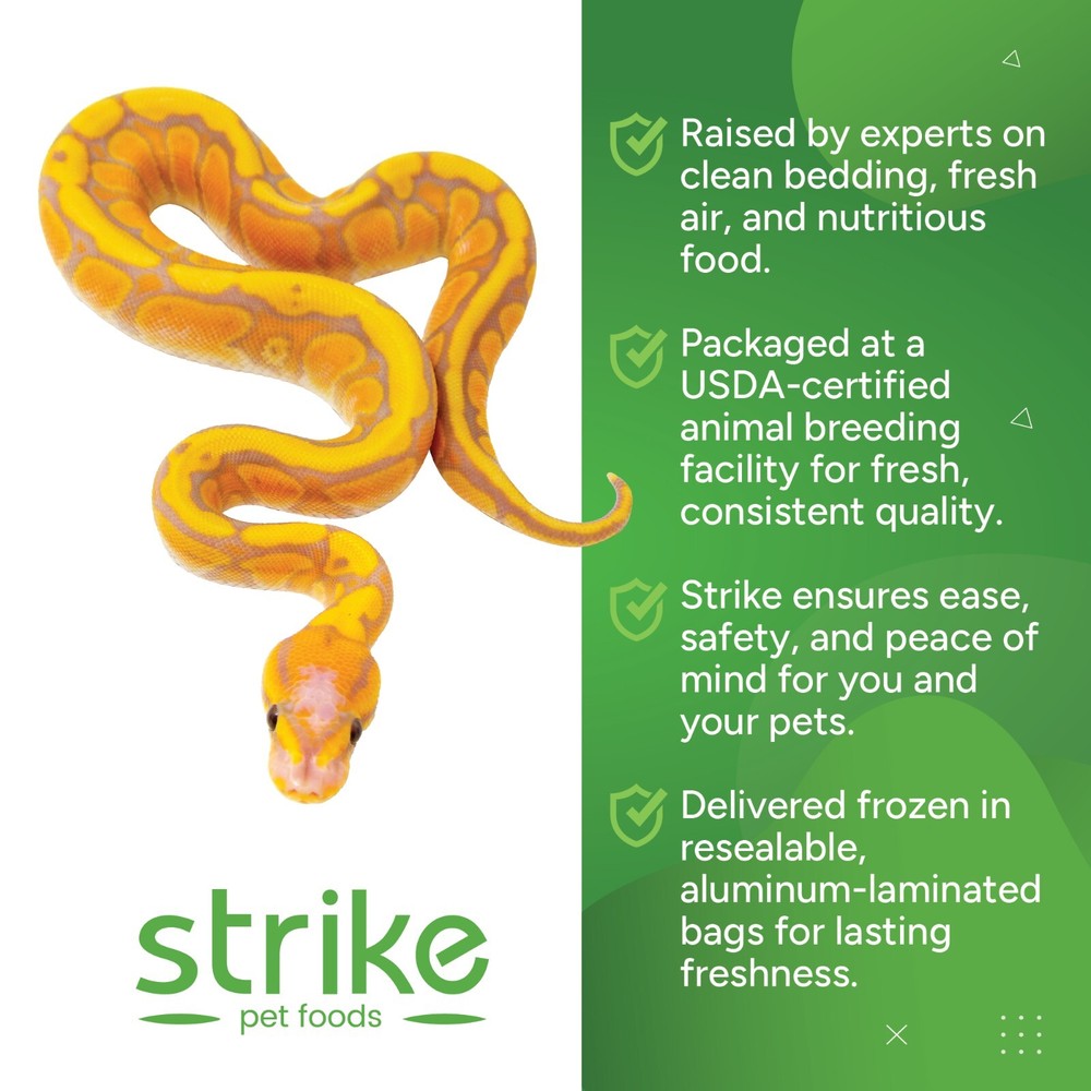 Strike Frozen Mice All Sizes and Quantities- Free S&H! Bundle to Save!