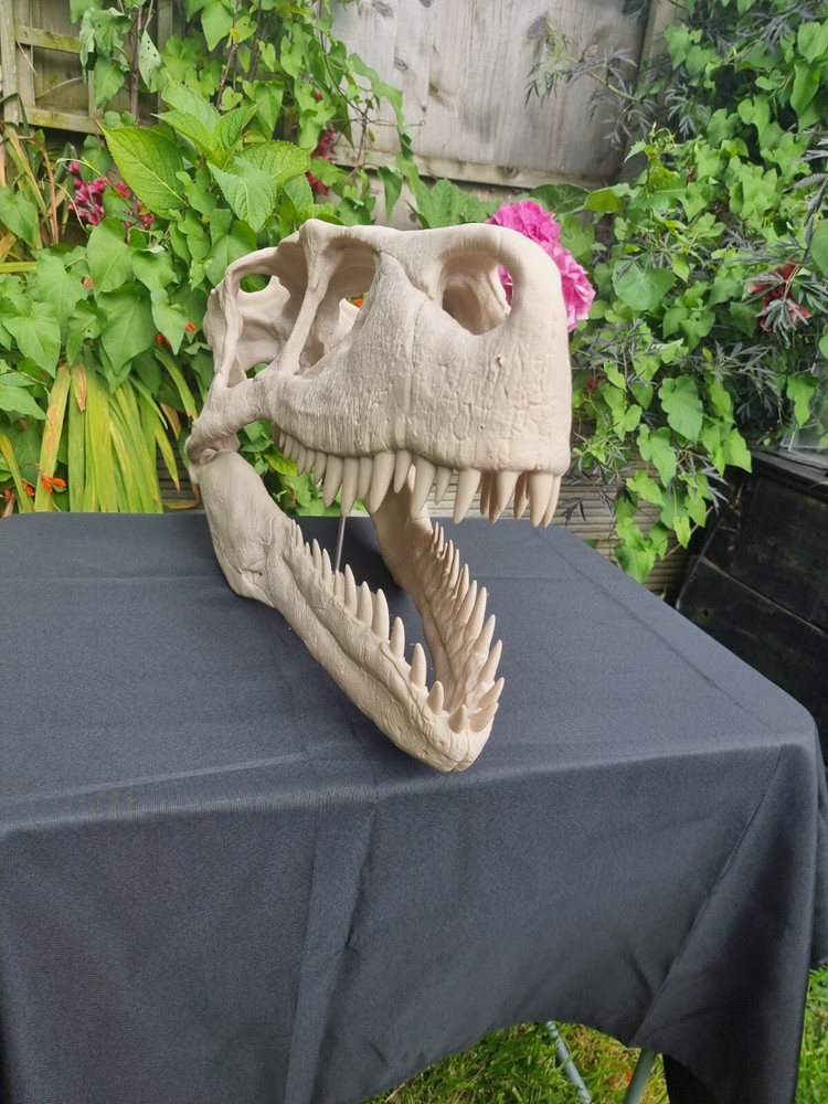 Utahraptor Life-size Dinosaur Replica Skull