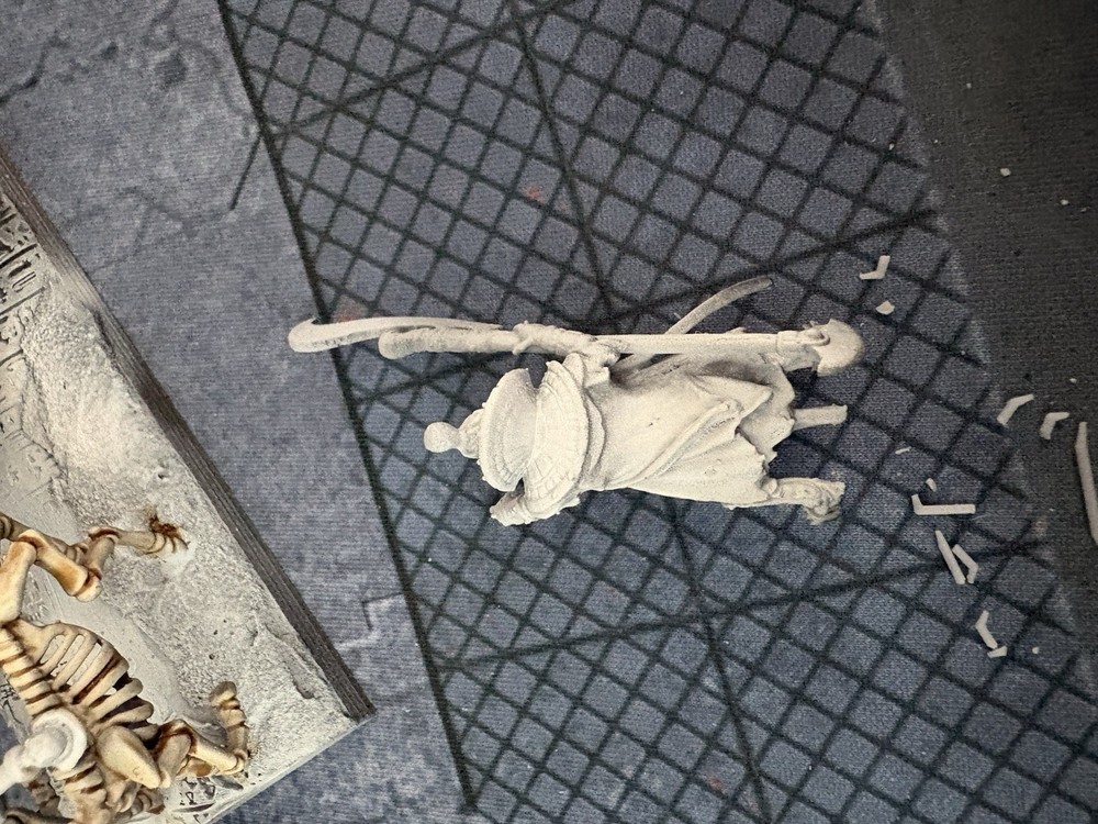 Skeleton Chariot Leader resin proxy