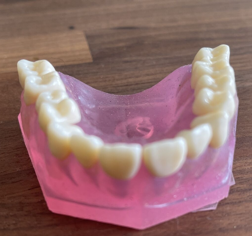 DENTAL TYPODONT UPPER Removable Teeth Soft Oral Demonstrating Practice ODDITIES