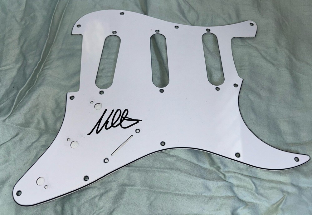 Nate Mendel Foo Fighters signed Guitar Pickguard
