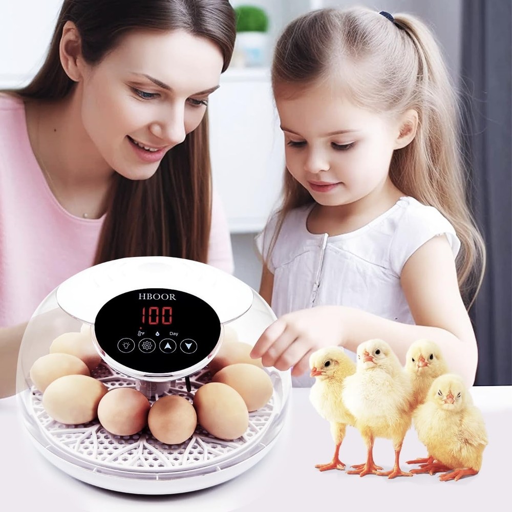 12 Egg Incubator Incubators for Hatching Eggs Chicken Egg Incubator
