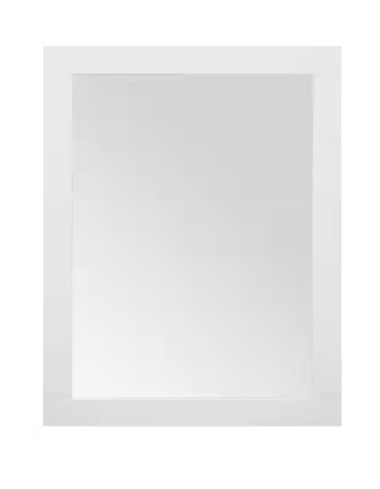 Home Decorators Sturgess 24" W x 32" H Rectangular Medicine Cabinet