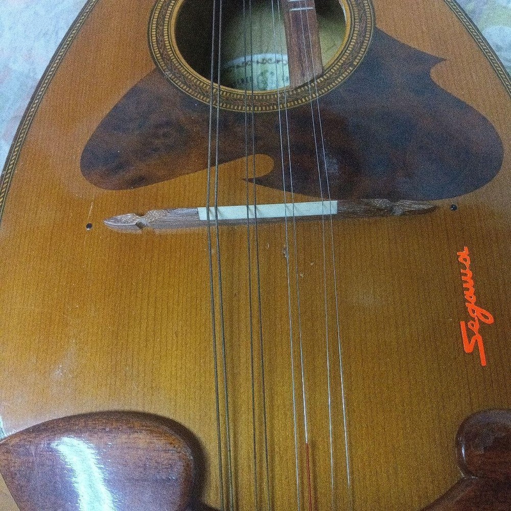 Mandolin body